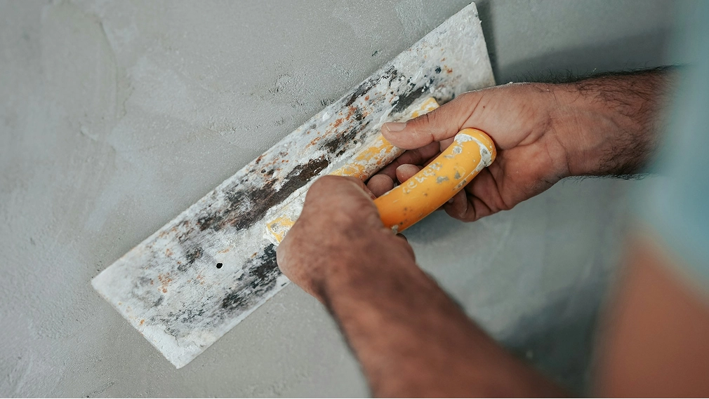 Preventing Mold In Your Home